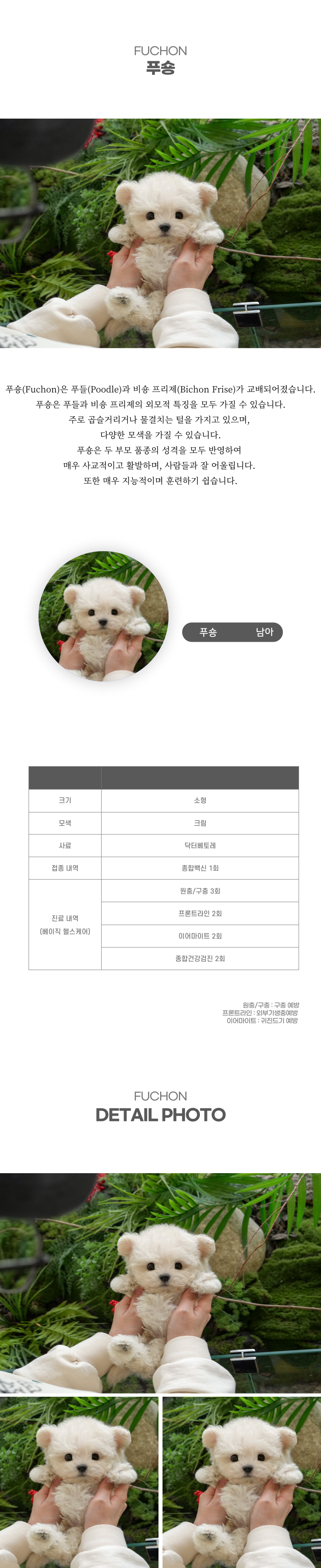 푸숑_상세이미지_2